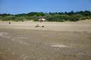 Eraclea